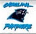 NFL Carolina Panthers