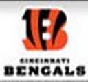 NFL Cincinnati Bengals