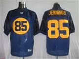 Reebok NFL Jerseys Green Bay Packers 85 Greg Jennings Blue